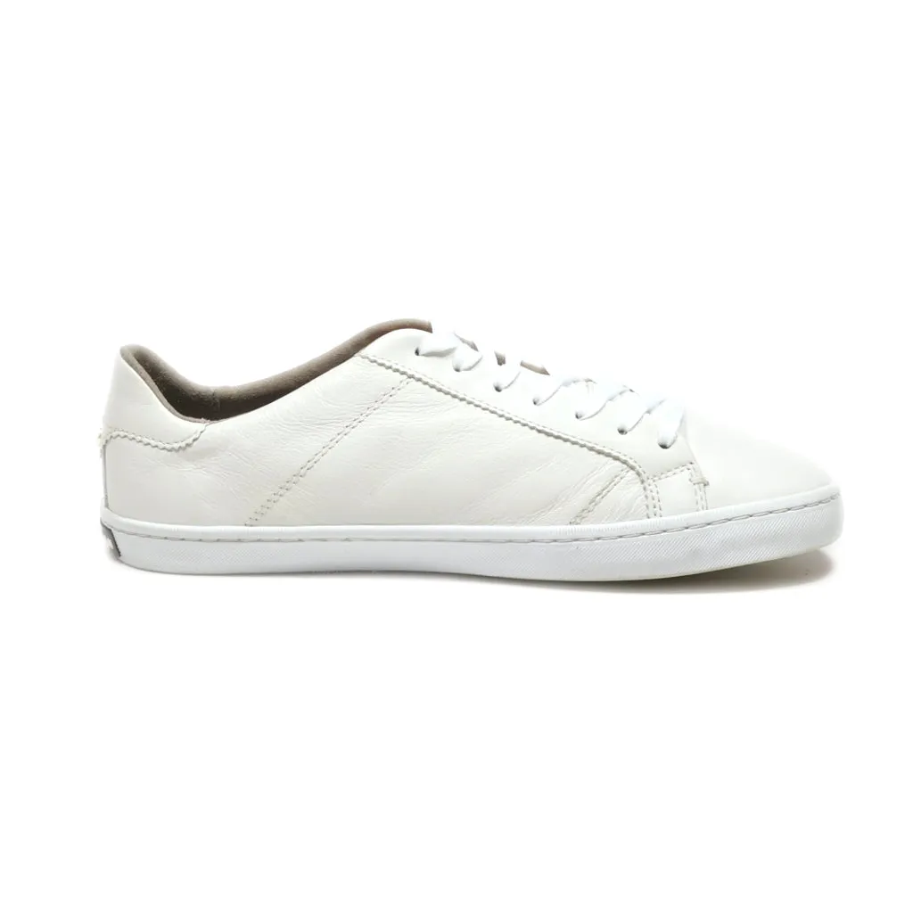 Cole Haan Mindi Lace Up Low-Top Sneakers Leather White Colour For Women